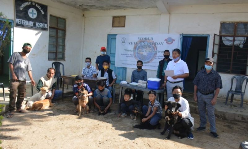 Free anti-rabies vaccination camp conducted at Veterinary Hospital, Kiphire on April 24. (DIPR Photo)